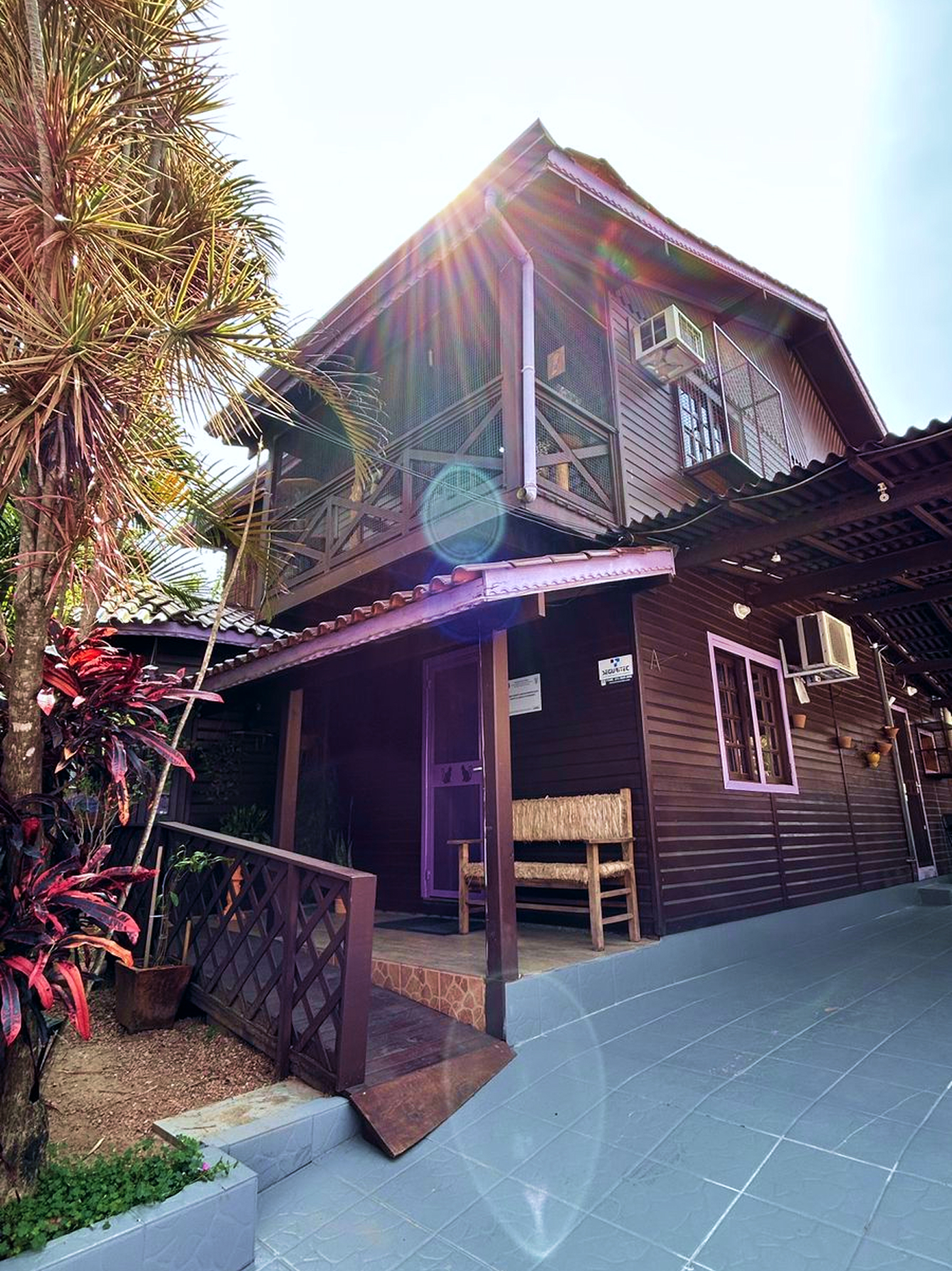 Hospedagem felina-nossa história 3